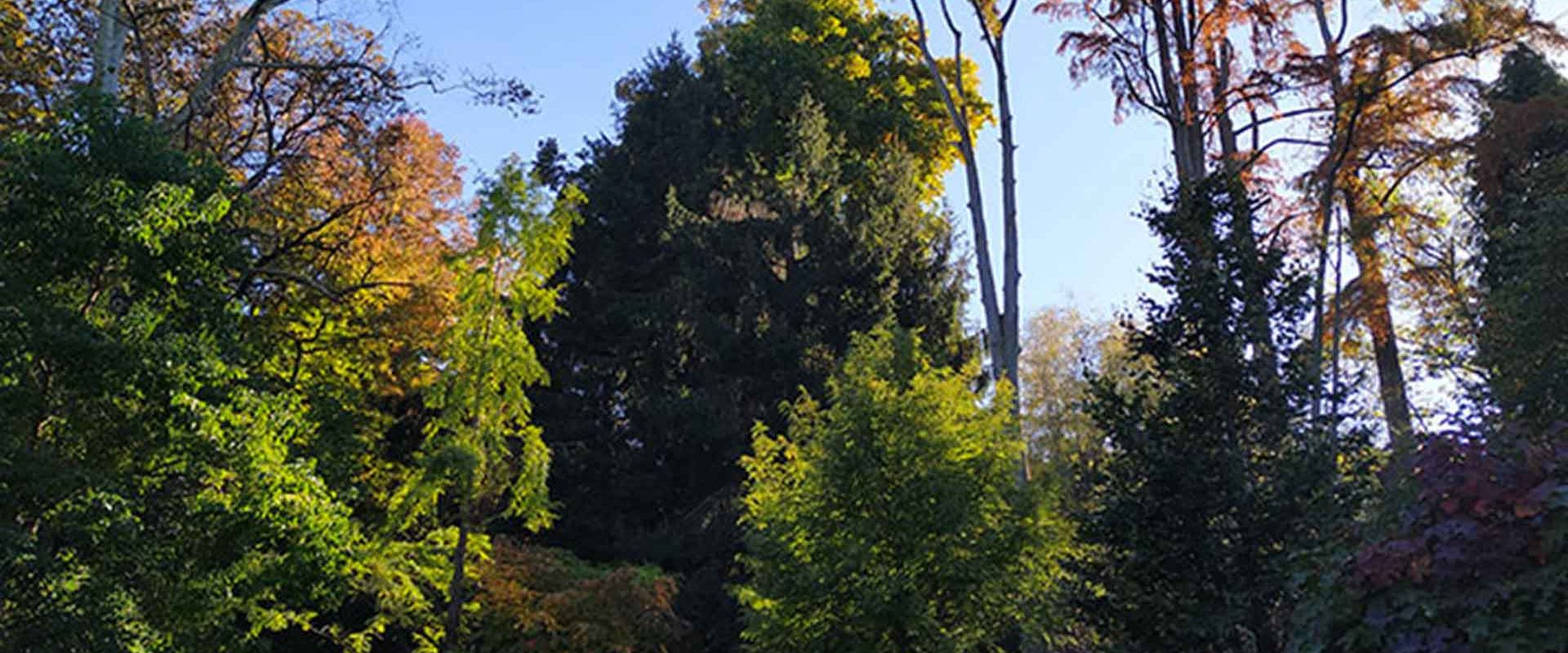 Foliage al Parco Pallavicino