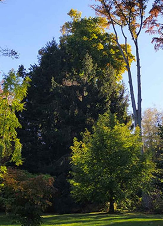 Foliage al Parco Pallavicino